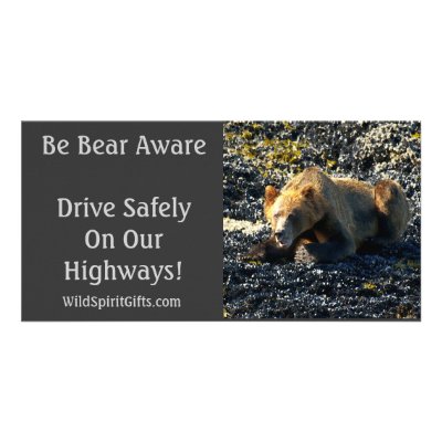 BE BEAR AWARE Photo Cards by RavenSpiritPrints