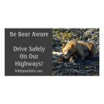 BE BEAR AWARE Photo Cards
