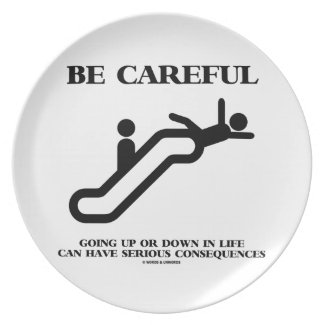 Be Careful Going Up Down Life Serious Consequences Party Plate