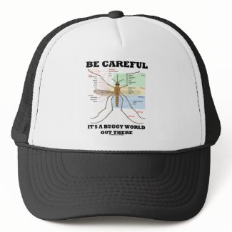 Be Careful It's A Buggy World Out There (Mosquito) hat