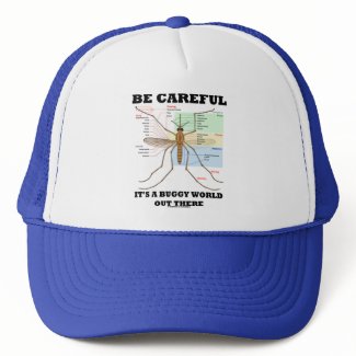 Be Careful It's A Buggy World Out There (Mosquito) hat
