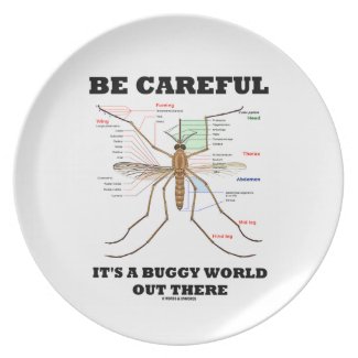 Be Careful It's A Buggy World Out There (Mosquito) Plate