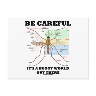 Be Careful It's A Buggy World Out There (Mosquito) postcard