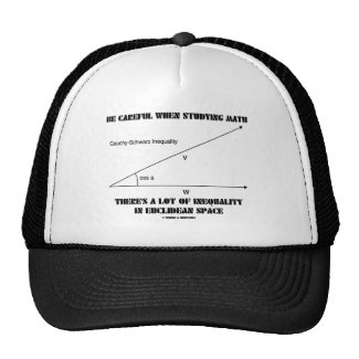 Be Careful When Studying Math Inequality Euclidean Trucker Hats