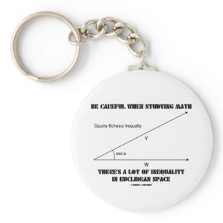 Be Careful When Studying Math Inequality Euclidean Key Chain
