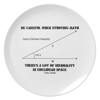 Be Careful When Studying Math Inequality Euclidean Plates