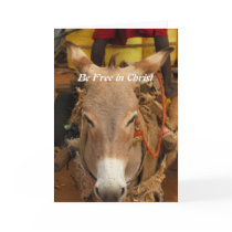Be Free in Christ Cards