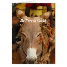 Be Free in Christ Cards