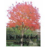 Be fruitful and multiply... t-shirts