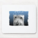 Be gentle... mousepads