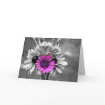 Be Happy  Card cards