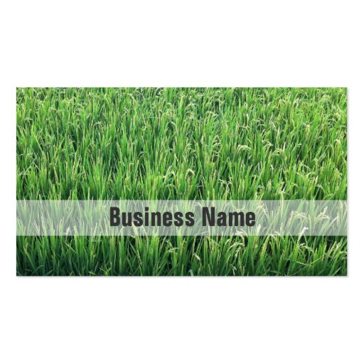 Be Happy Green Rice Field Business Cards (front side)