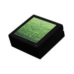 Be Happy Green Rice Field Jewelry Boxes