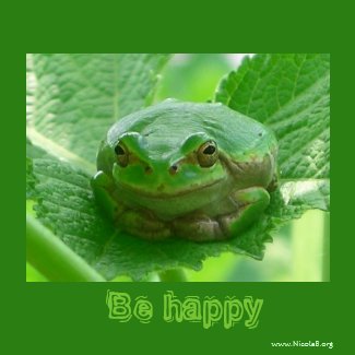 Be happy - green smiling frog magnet magnet