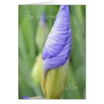 Be Inspired cards