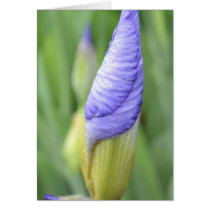 Be Inspired cards