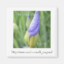 Be Inspired magnets