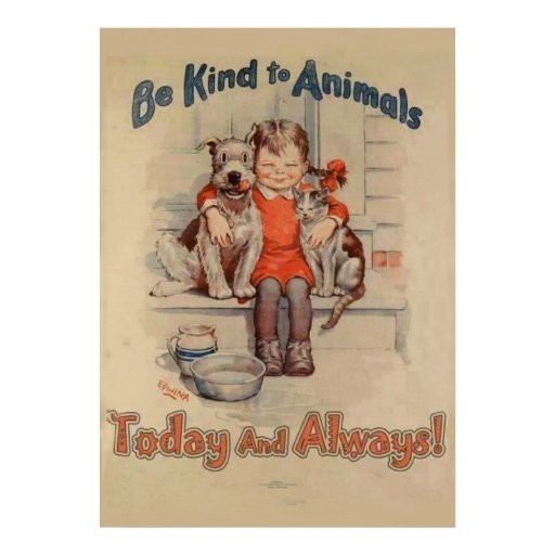short essays on kindness to animals short essays on kindness to animals