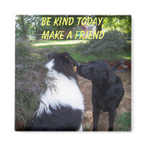BE KIND TODAY, MAKE A FRIEND magnets
