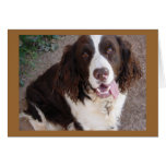 Be Mine!  All The Time! Greeting Cards