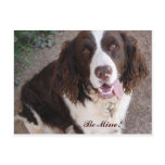 Be Mine!  All The Time! Post Cards
