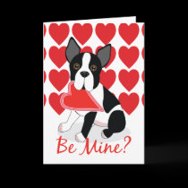 Be Mine? Boston Terrier Valentine's Day Card cards