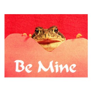 Be Mine Frog close up photograph Post Cards
