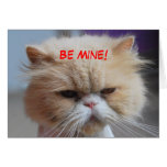 Be Mine Persian Cat cards