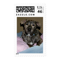 Be Mine stamps