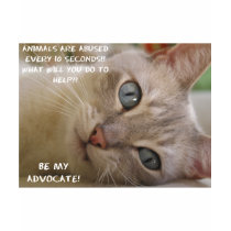 Be My Advocate Cat t-shirts by AJay36 Be My Advocate Cat t-shirts