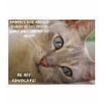 Be My Advocate Cat T Shirts