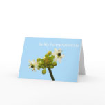 Be My Funny Valentine cards