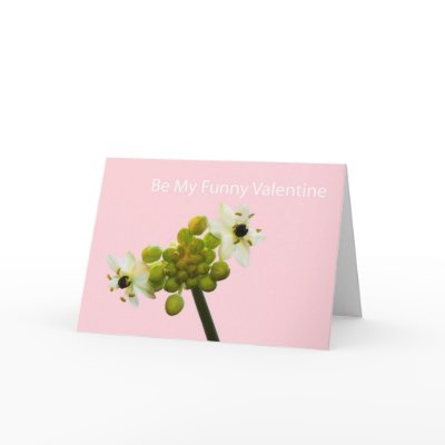 Be My Funny Valentine Cards by nctweiland
