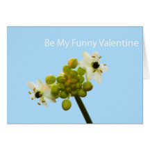 Be My Funny Valentine Card