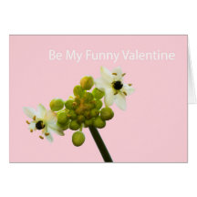 Be My Funny Valentine Cards