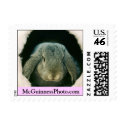 Be My Hony Bunny postage