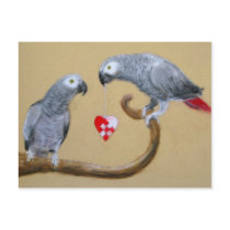 Be My Valentine - African Grey Parrots postcards