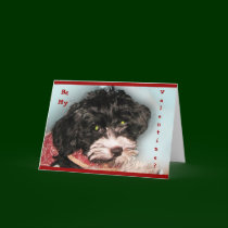Be My Valentine? card