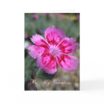 florist, valentine's day, greeting card,