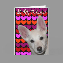 Be My Valentine Greeting Card cards