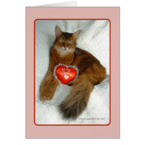 Be My Valentine Kitty Card cards