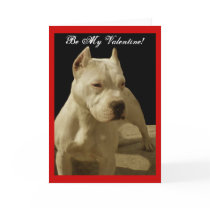 Be My Valentine pitbull greeting card by ritmoboxer Be My Valentine pitbull greeting card