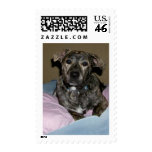Be my Valentine Postage Stamps