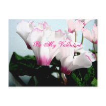 Be My Valentine Post Card