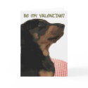 Be my valentine?, Puppy cards