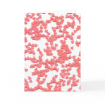 "Be My Valentine" Sweet Card