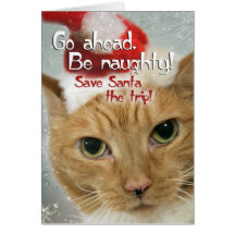 Be Naughty Christmas Card