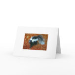 Be nice or I'll stink ya!-greeting card