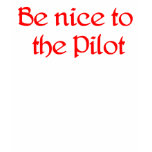 Be nice to the Pilot Ladies Hoody