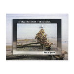 Be of One Mind Seagull Post Cards